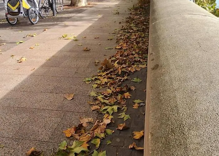 דירה Hyper Centre Historique Capitole Cosy טולוז