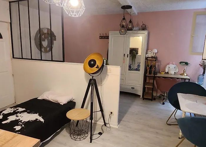 Hyper Centre Historique Capitole Cosy דירה