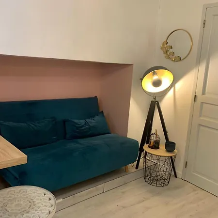 Daire Hyper Centre Historique Capitole Cosy