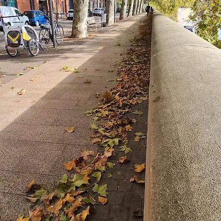 Daire Hyper Centre Historique Capitole Cosy Toulouse