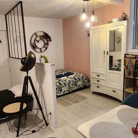 Daire Hyper Centre Historique Capitole Cosy